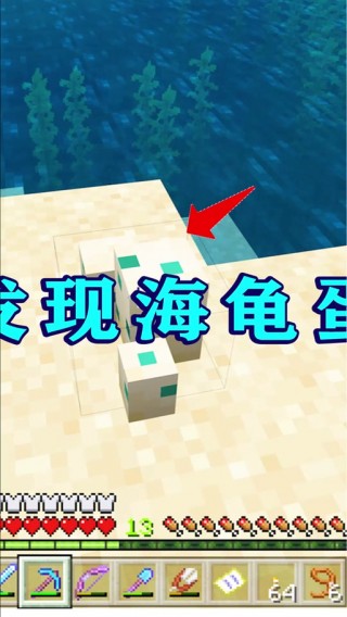 我的世界海龟如何找，我的世界海龟在哪里刷？