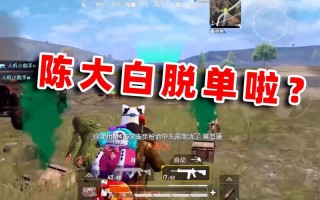 和平精英大主播游戏名字，和平精英主播游戏名字香草（最新）