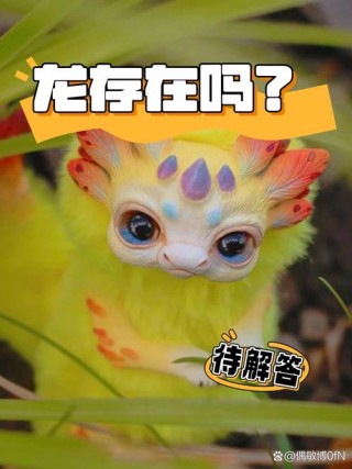 阴阳师初始宠物是什么，阴阳师初始宠物是什么样的（最新）