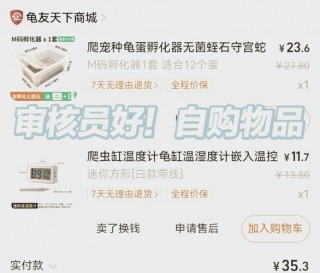 我的世界如何搞水草，我的世界如何搞水草堆（最新）