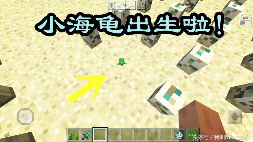 我的世界海滩种子代码汇总-MC最全海滩种子代码分享
