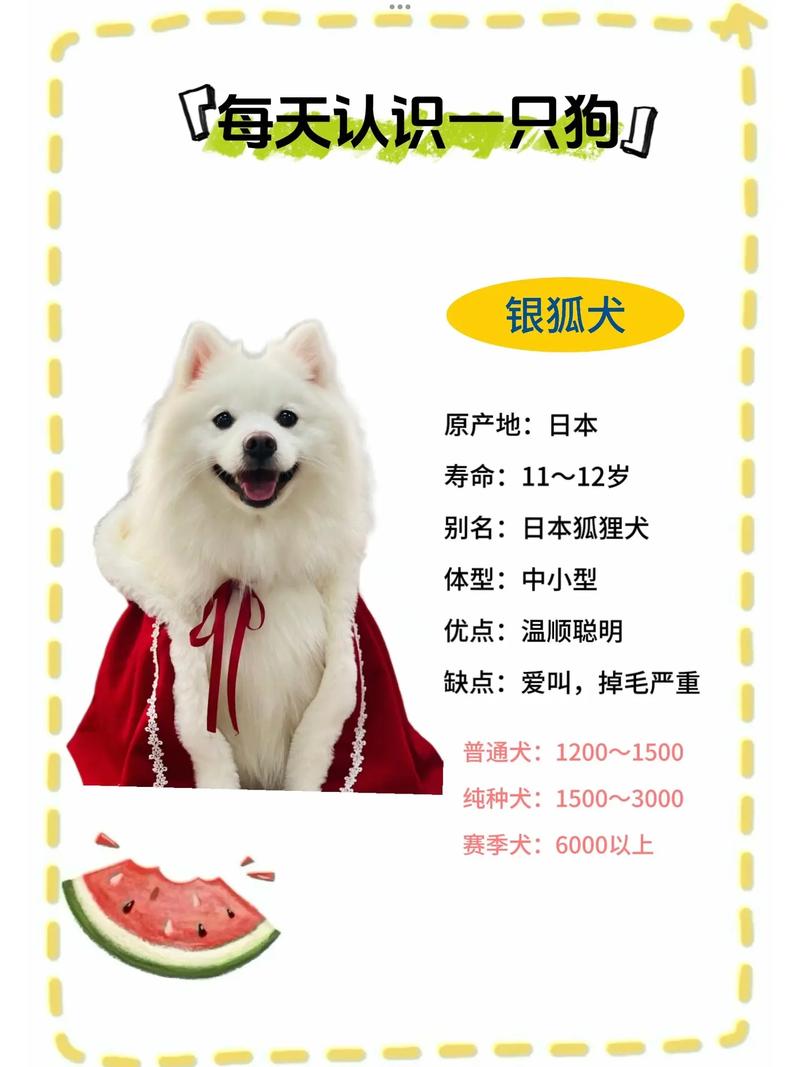 阴阳师刷御魂带的宠物可以选取吗