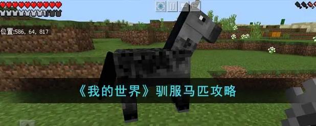 如何驯服马我的世界中