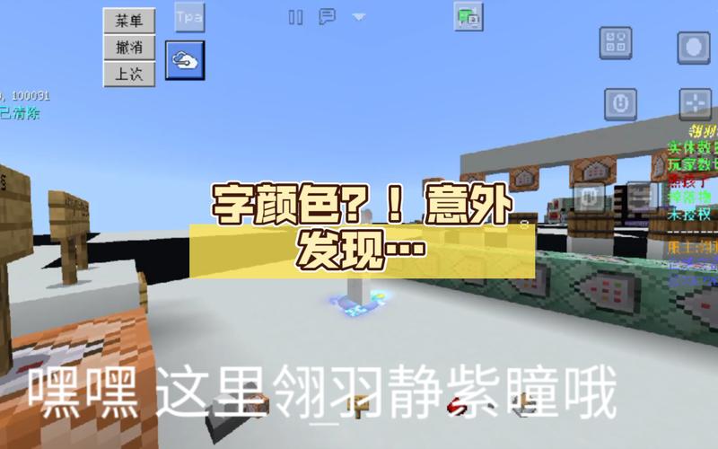 我的世界服务器怎么在主城设置字体