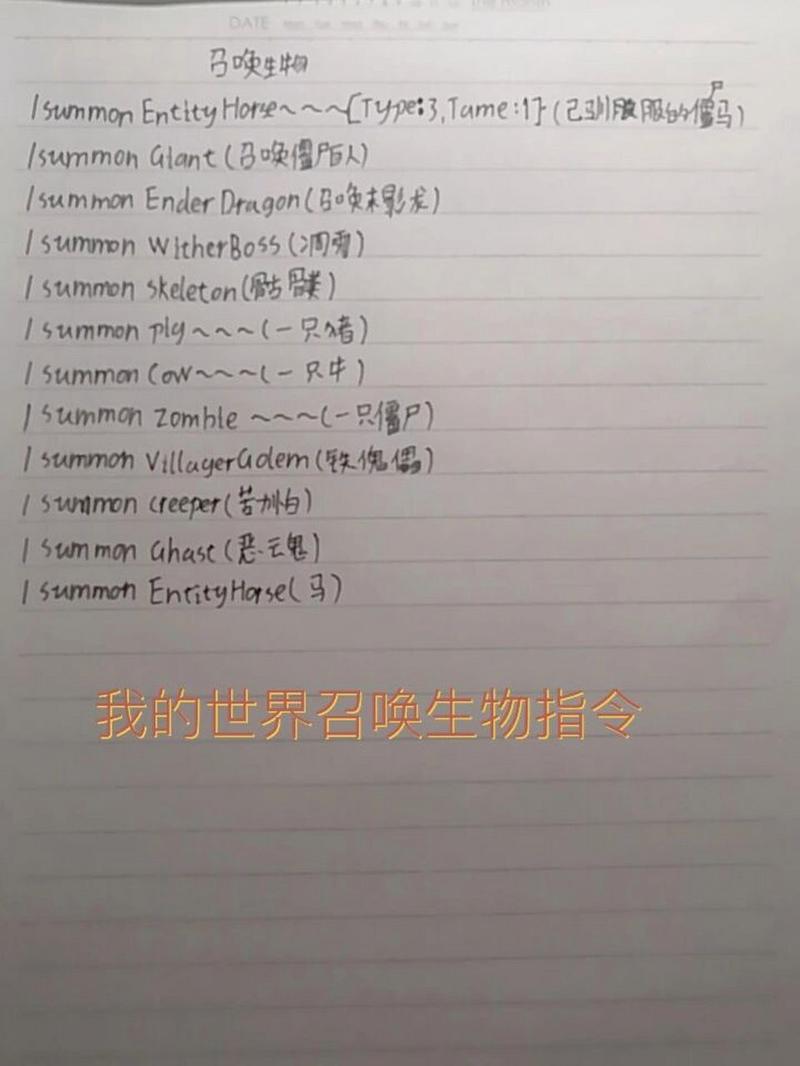 mc如何召唤交易保护4的村民