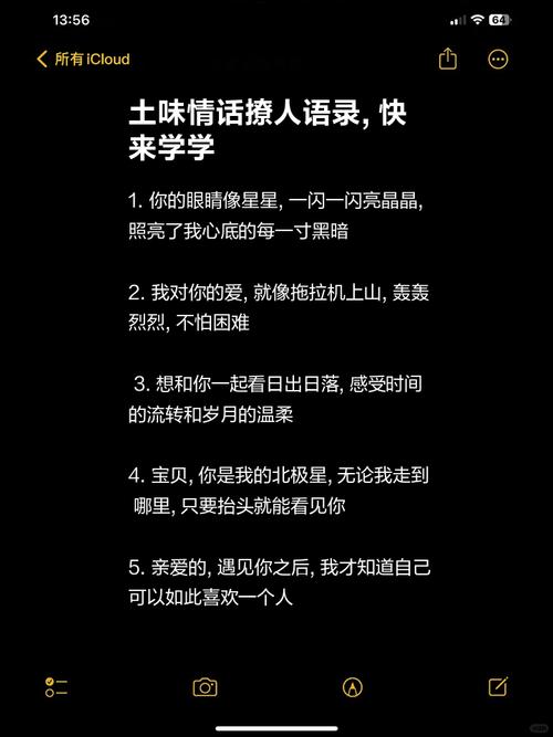 好词佳句的感受和体会