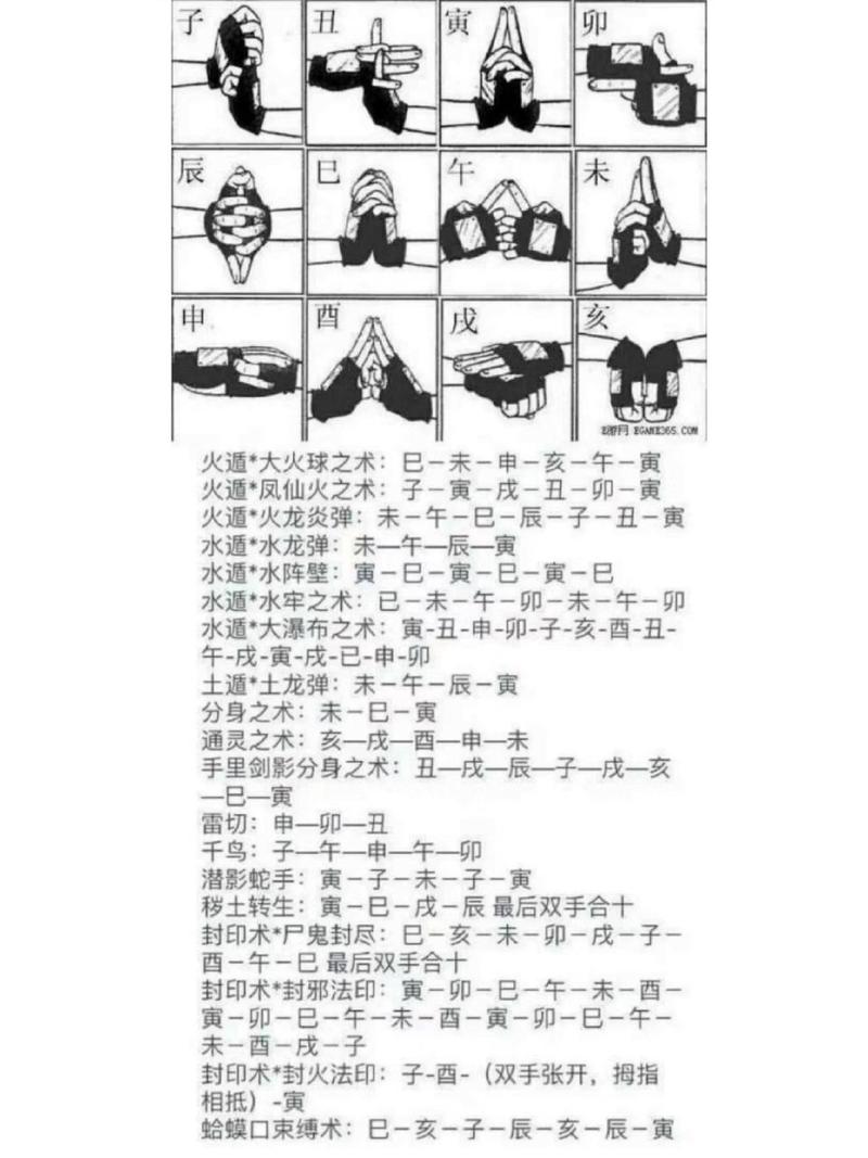 红竹石鉴别方法介绍