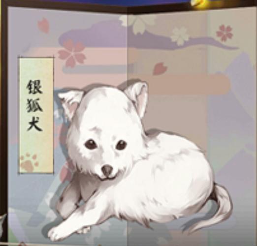 阴阳师银狐犬怎么获得