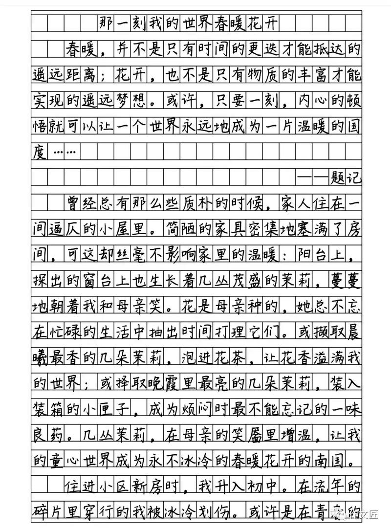 神态描写作文400字