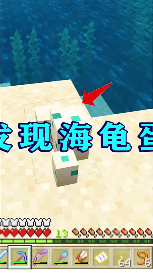 我的世界海龟怎么驯服,海龟怎么养/繁殖