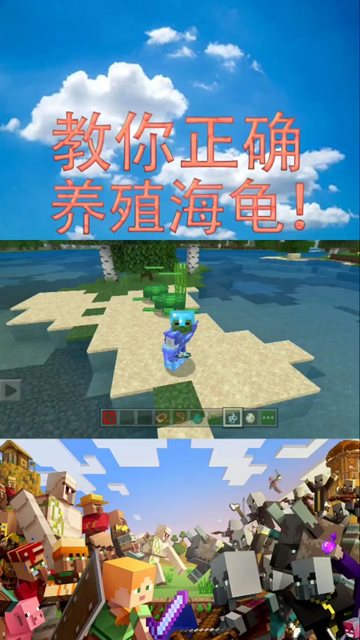 我的世界海龟蛋怎么得