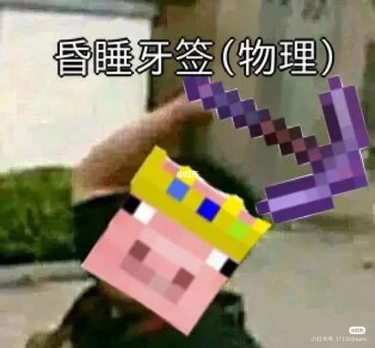 我的世界表情mod指令大全