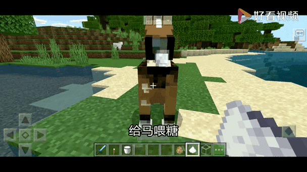 我的世界怎么驯服羊驼(我的世界怎么驯服羊驼当坐骑)