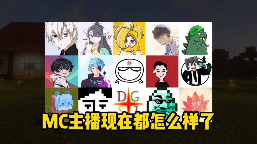 我的世界捷克在哪里直播?