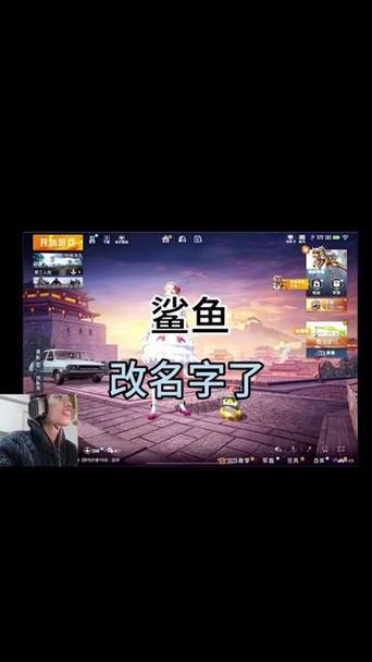 鲨鱼和平精英ID是什么?